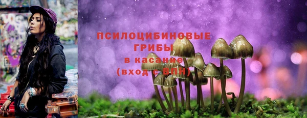 первитин Переславль-Залесский
