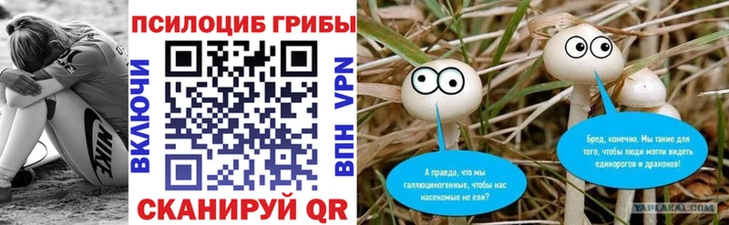 Купить где  Рошаль  Псилоцибиновые грибы GOLDEN TEACHER 